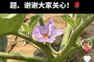 渐入佳境！布克24投10中得到27分4板8助 末节独揽11分